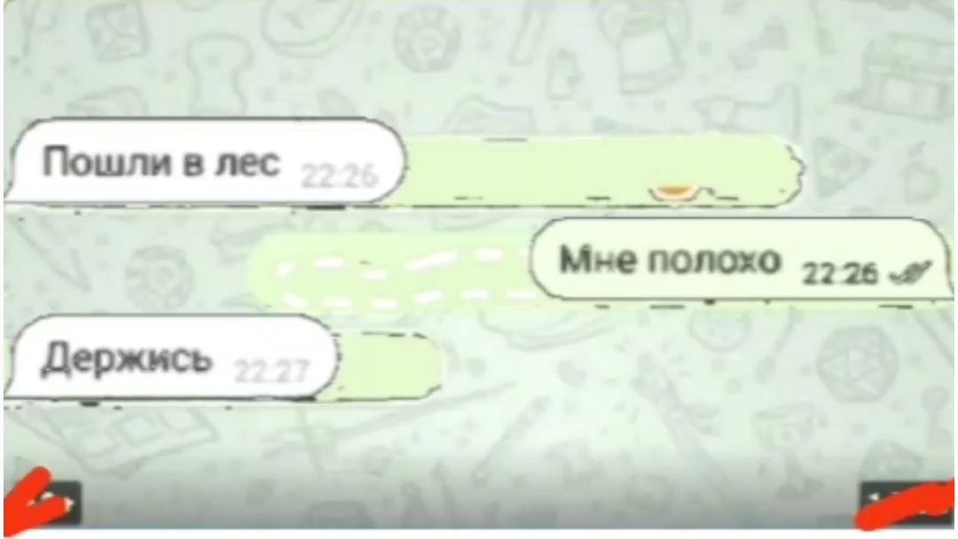 друг позвал меня погулять в странном лесу: 1 часть переписки Ильи и юры