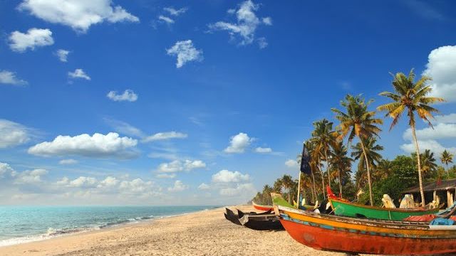 Керала и аюрведа. Возможности оздоровительного отдыха в Индии