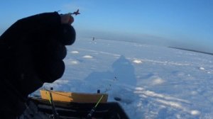 Корюшка. Маяк. Рыбалка 5.2.26