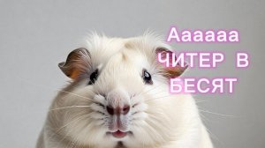 Проблемы чикен гана первая часть (ЧИТЕРЫ)