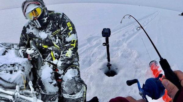 ПОТЕРЯЛИ ПАЦАНА на рыбалке! НО судак клюёт!)