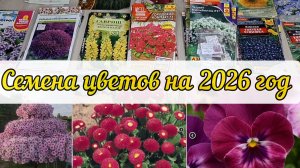 Семена цветов на 2026 год