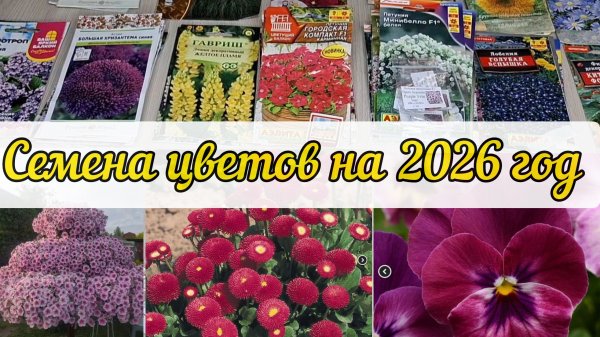 Семена цветов на 2026 год
