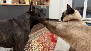 Часть 47. Что творится за закрытыми дверями?