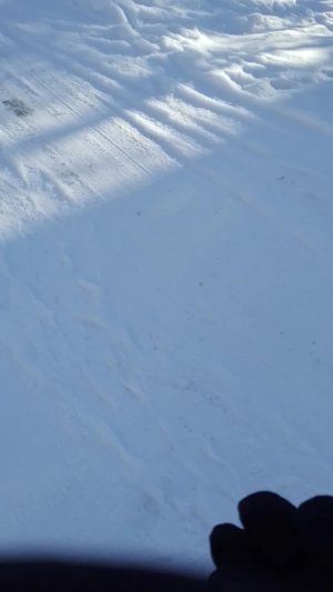 вторая прогулка