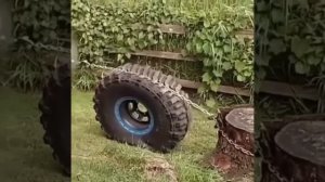 Способ быстро избавиться от пня.