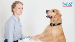 Пимокардин 10 мг