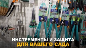 УХОД ЗА САДОМ ПОД РУКОЙ. Как выбрать и собрать садовый набор: инструменты и уходовые средства.