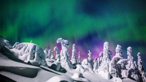 Зимний Север в фотографиях  Tiina Törmänen.