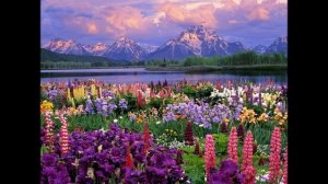 Возрождается планета