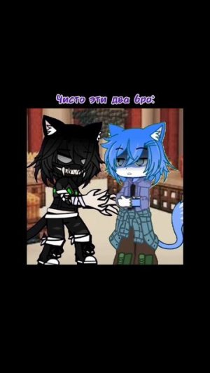 кошары переехали в TELE-S день 1578..