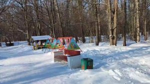 Поляна сказок в парке Дубки Сестрорецк