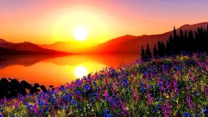 Наш прекрасный мир...