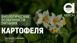 Вебинар по защите и питанию картофеля