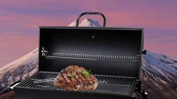 Выживаю 10 дней в „Шикарном лесу”