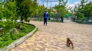 Влад НЕ ВИДИТ! Люська бежит за ним и Степой со всех ног, а он НЕ ВИДИТ!!!