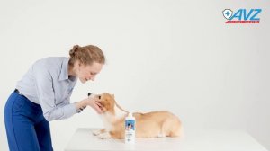 Морской шампунь от зуда и запаха для котят и щенков, 400 мл