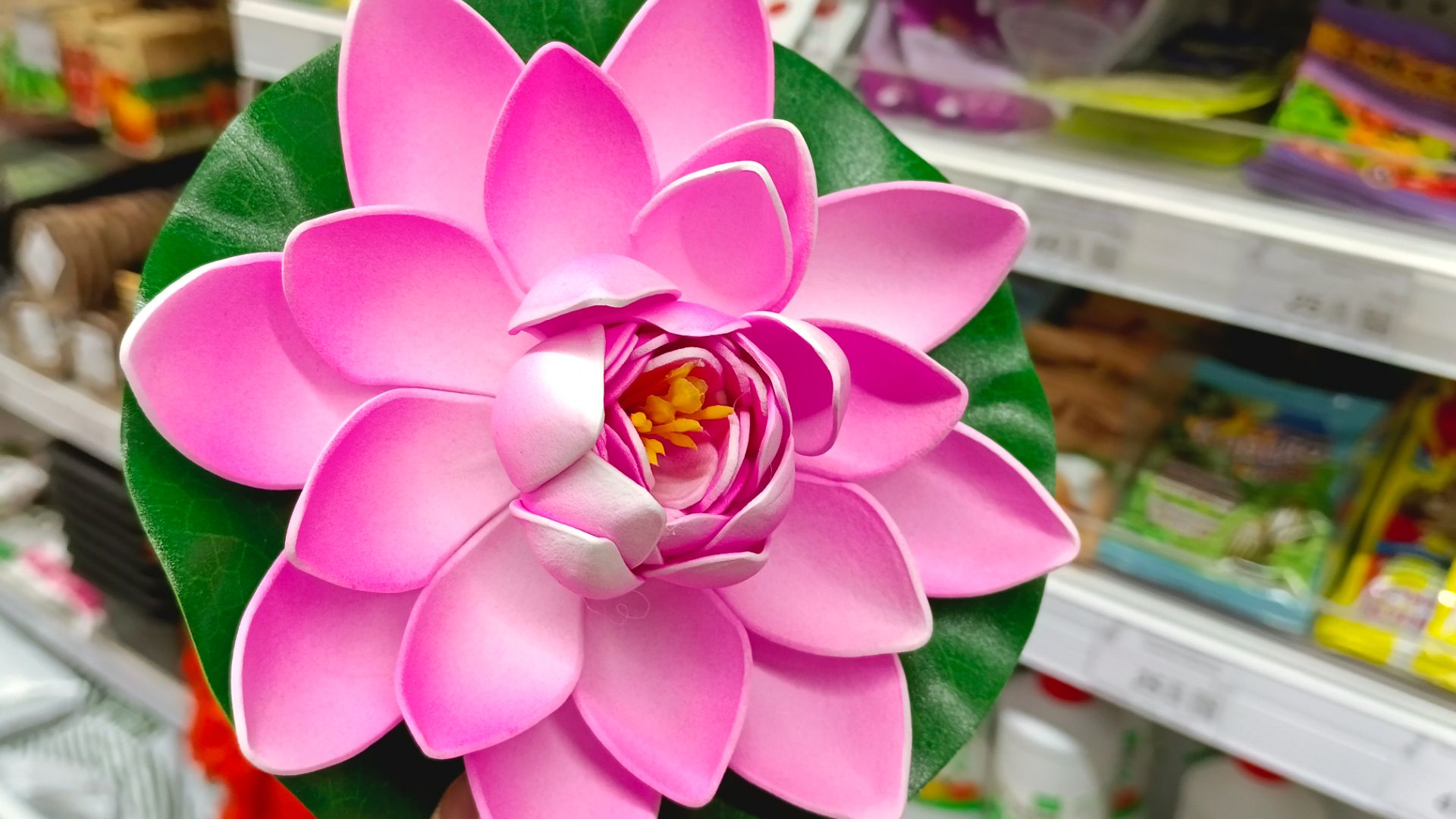 🪷🌿САД ОГОРОД в ГАЛАМАРТЕ🌿🪷февраль 2026 смотреть онлайн