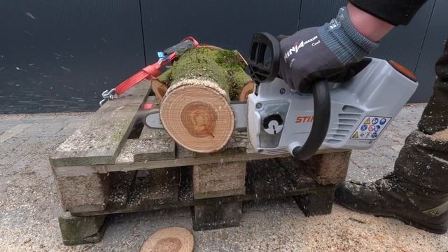 Тест новой STHIL MSA 190T сравнение пил!