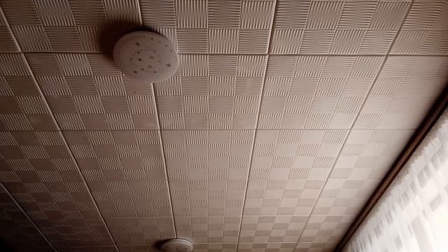 1000016630.mp4 смотреть онлайн