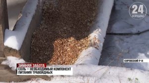 Лесники и школьники подкармливают диких животных Старого Крыма