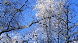 2026-02-05  ЗИМА -- ВОЛШЕБНИЦА...