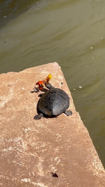 Такой концовки я и сам не ожидал (178) смотреть онлайн