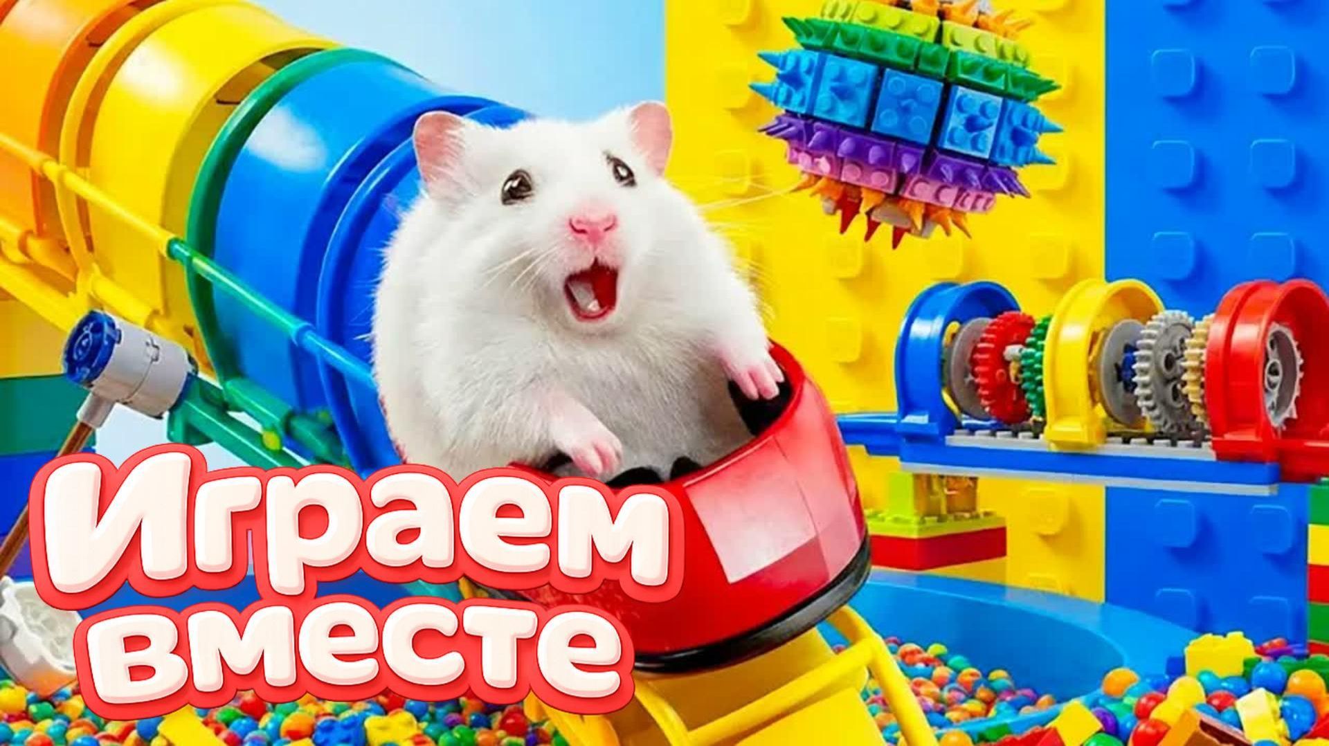 ЛАБИРИНТ С ЛОВУШКАМИ ДЛЯ УМНОГО ХОМЯКА 🐹 ВИДЕО ПРО ХОМЯКА ДЛЯ ДЕТЕЙ 🟡 смотреть онлайн