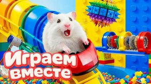 ЛАБИРИНТ С ЛОВУШКАМИ ДЛЯ УМНОГО ХОМЯКА 🐹 ВИДЕО ПРО ХОМЯКА ДЛЯ ДЕТЕЙ 🟡