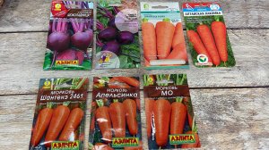 Готовлюсь к сезону 2026, купила семена моркови и свеклы.