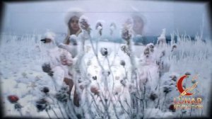 Сёстры Лунарис - Крылья из шкафа