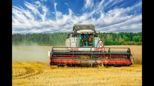 комбайнеры !!! смотреть онлайн