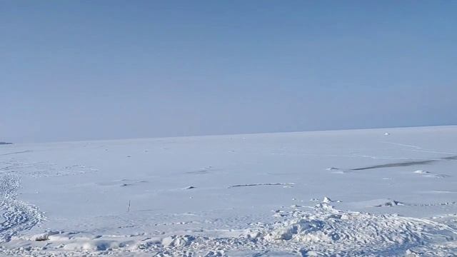 Вид на Финский залив со смотровой площадки в парке Дубки смотреть онлайн