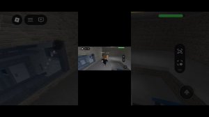 играем в roblox