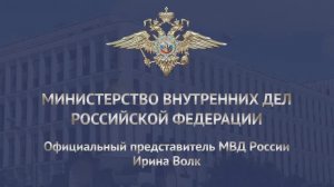 Московские полицейские задержали подозреваемых в кражах денег с использованием онлайн-игр