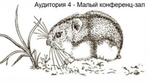 Аудитория 4 - Экологическая физиология млекопитающих