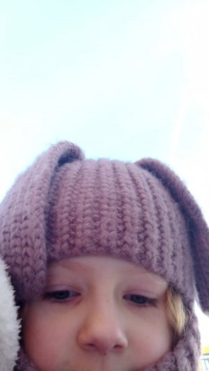 привет Алиса