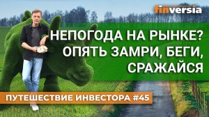 Непогода на рынке? Опять замри, беги, сражайся | Ян Арт. Finversia