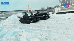 Когнитивная Витаминка № 307