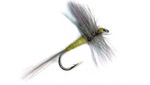 Распаковка посылки с мушкой PFG Pale Morning Dun