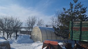 Как выжатый лимон 🍋