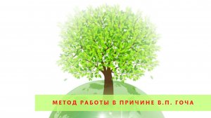 Вебинар  – Метод В.П. Гоча работы в Причине