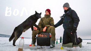 На рыбалке к нам пришел Волк! Прикормка супергейзер. Ловим Леща и Плотву! Рыбалка с сыном