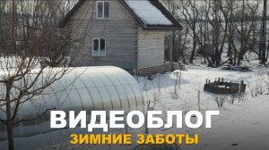 ВИДЕОБЛОГ: ЗИМНИЕ ХЛОПОТЫ. Работы в доме и на участке в зимний период.