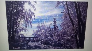 Рыма Чек- версия обмана