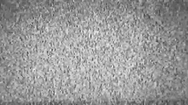 2593.mp4 смотреть онлайн