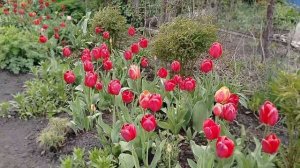 Успей всё сказать,пока голос звучит🎼🎶🎵