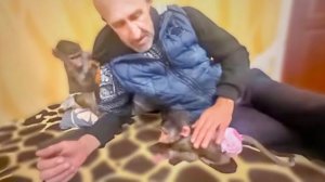 ПЕРВАЯ ВСТРЕЧА Люси и Мани Папа, я же тебя просила мать одну из дома больше не выпускать!’