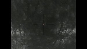 Четыре вечера охоты на шакала в Волгоградских степях, отвратительная погода для охоты