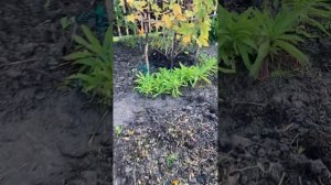 9 октября 2022 года.